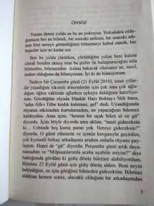ala-ı-