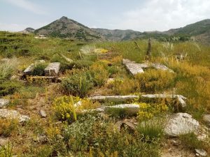 Dersim - Tunceli Hozat Mezar Taşları - Koç ve At mezar taşları